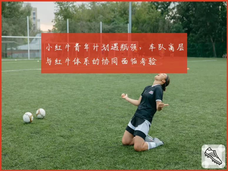 小红牛青年计划遇瓶颈，车队高层与红牛体系的协同面临考验