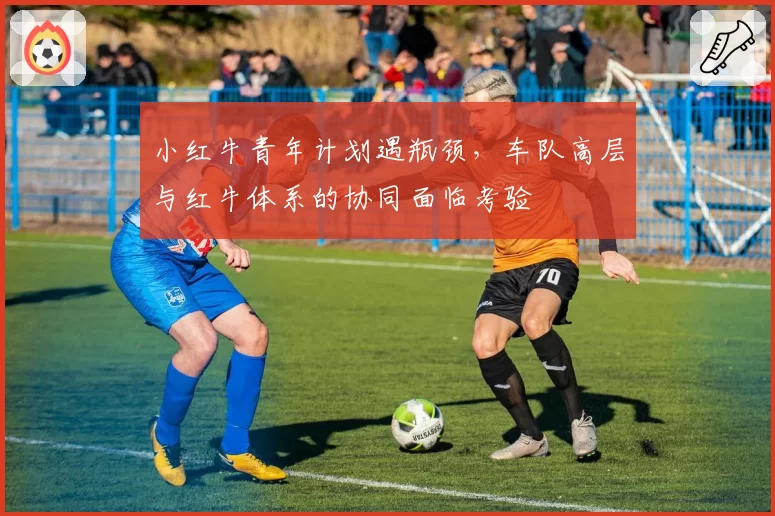 小红牛青年计划遇瓶颈，车队高层与红牛体系的协同面临考验