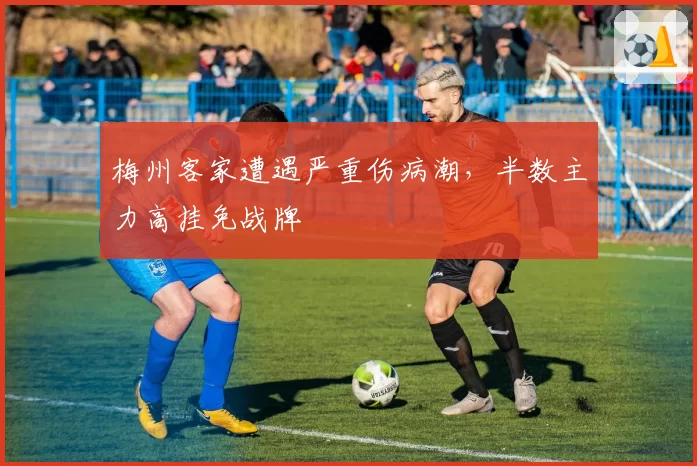 梅州客家遭遇严重伤病潮，半数主力高挂免战牌